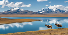 雪域尊享西藏雙臥11日臥飛9日